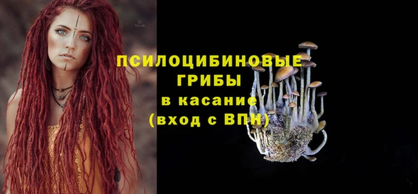 стафф Михайловка