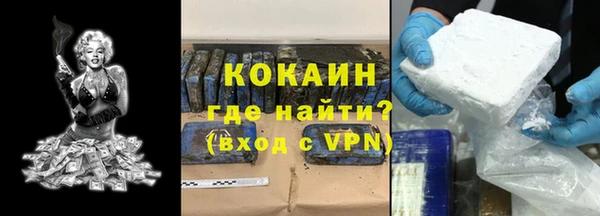 стаф Дубовка