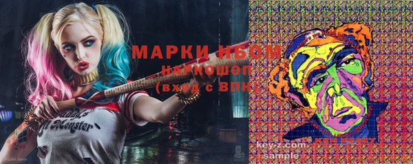 стафф Михайловка