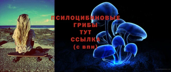 2c-b Михайлов