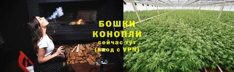 Шишки марихуана семена  где можно купить   Карпинск 